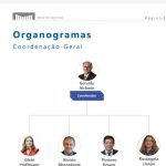 organograma-1